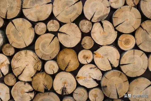 家具开裂变形的罪魁祸首是它？！