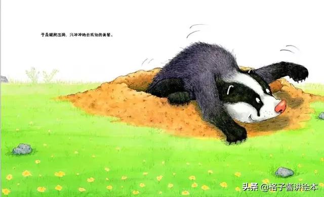 绘本獾的美餐思维导图,獾的美餐绘本故事图片