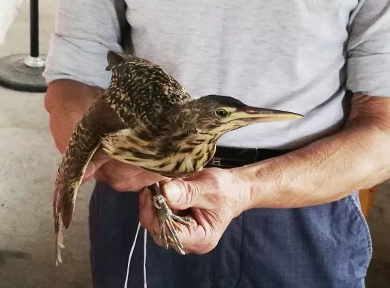 小鸟天堂真实现状,小鸟天堂后续怎样了