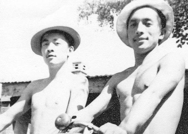 陈布文和灰娃结婚后情况,陈布文与灰娃是什么关系