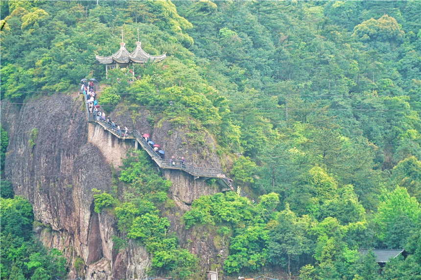 浙江有一个神奇山,浙江山里蝌蚪
