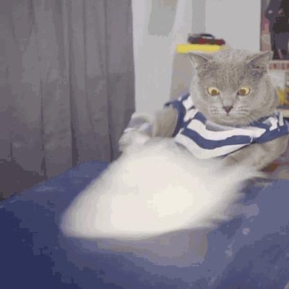 实用装修工具屋顶打孔,墙上打洞收纳方法