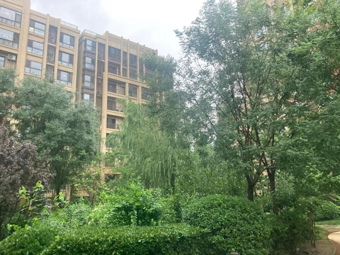 75㎡报价354万地铁500米旁边是万达我劝你谨慎入手