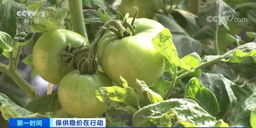 降降降大降价,降了又降