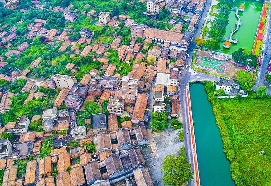 白云高质量打造乡村振兴新模式,乡村振兴四类乡村产业项目