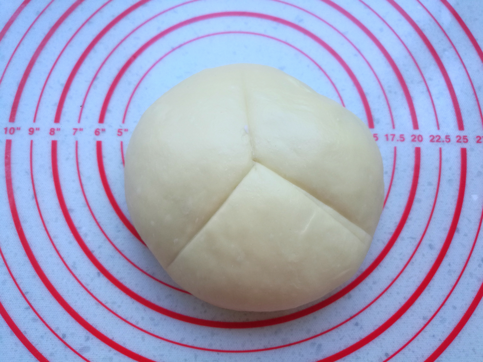 一次发酵的椰蓉吐司,一次发酵葡萄干吐司