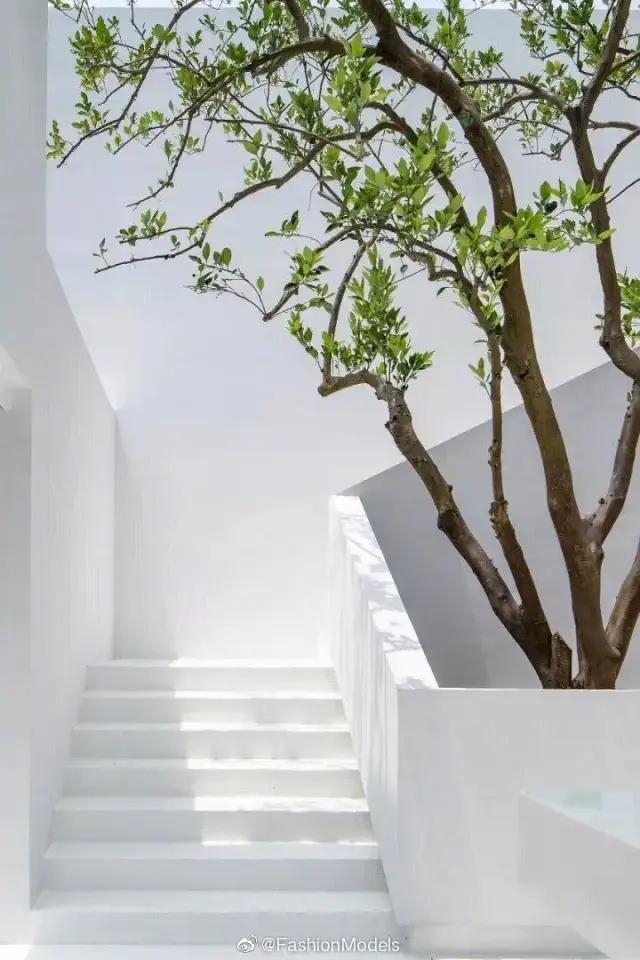 陈伟霆近期恋情,陈伟霆跟国际超模合照