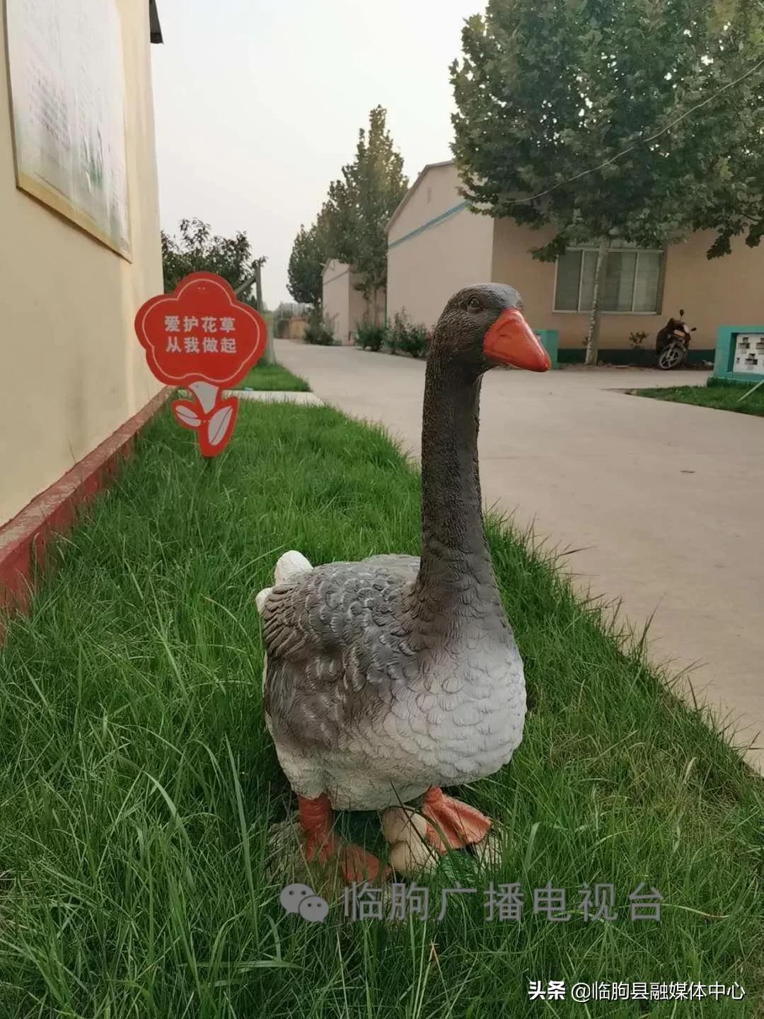 “绿满城乡·秀美临朐”系列报道（八）蒋峪镇篇：勇立潮头迎风起水墨蒋峪谱新篇