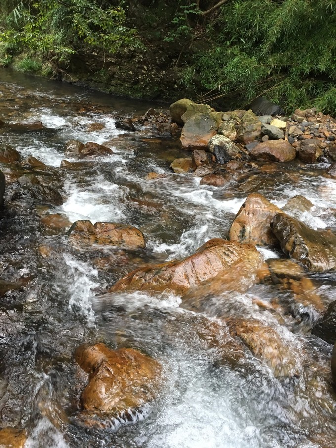 广州从化溪头村一日游出游攻略,从化溪头村自驾游攻略视频