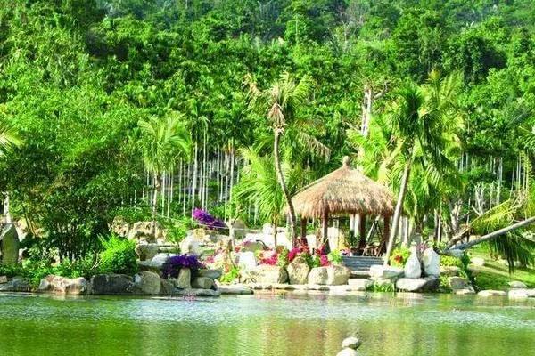 呀诺达森林公园在哪,森林公园避坑攻略