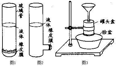 跟胖哥学物理液体压强与帕斯卡原理