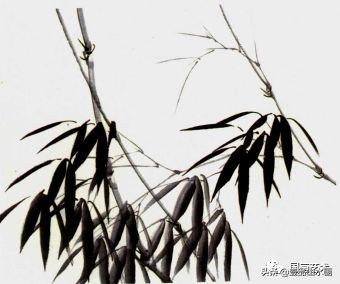 图文教程竹子画法,怎么画竹最简单最好看