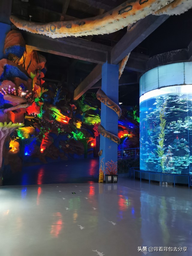 去泉城海洋极地世界需要带什么,济南到齐河海洋世界攻略