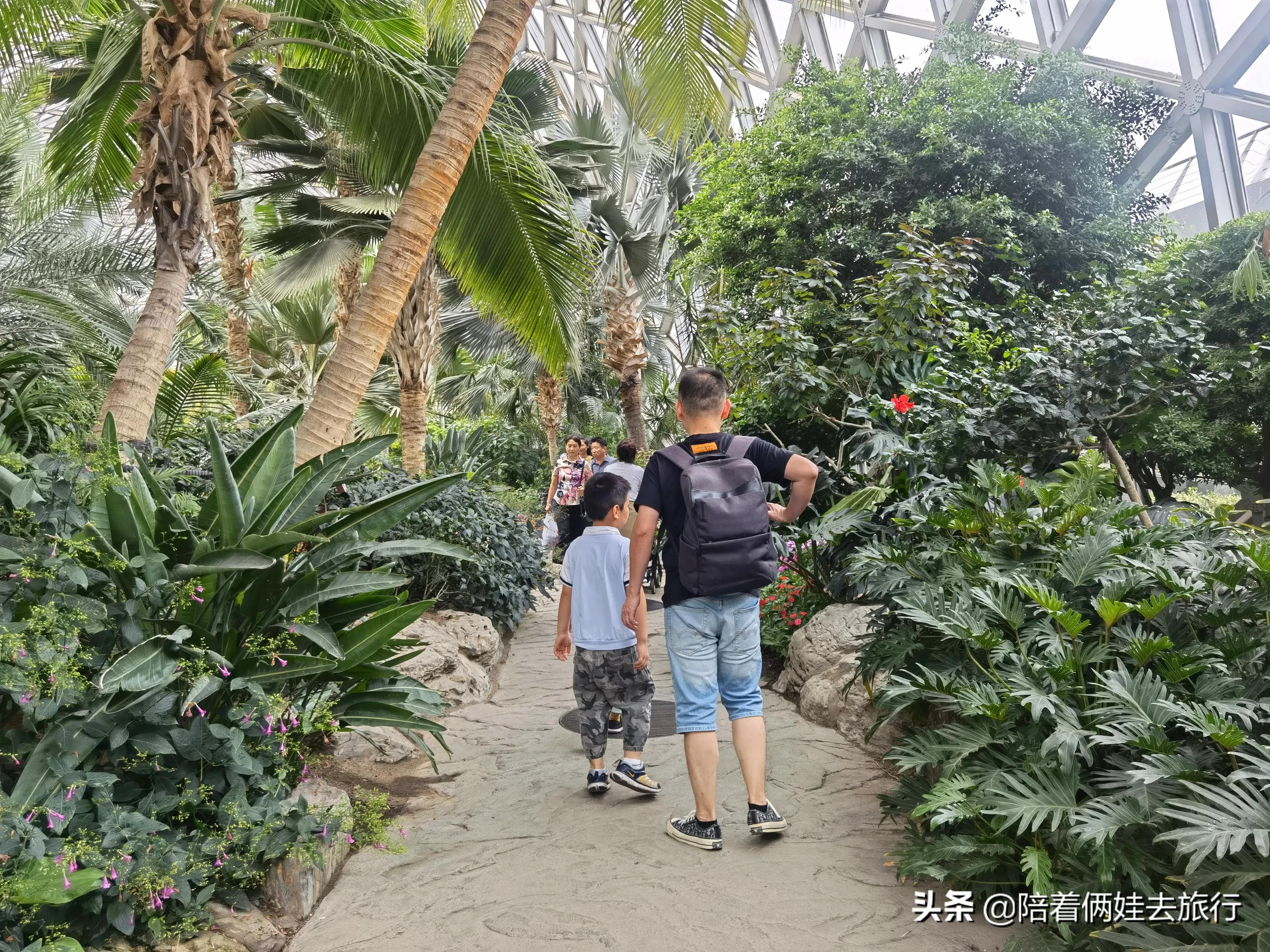 上海辰山植物园矿坑花园,辰山植物园矿坑花园修好了吗