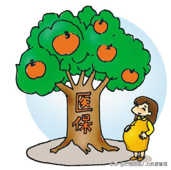 安阳县医保卡补办去哪里补办,沈阳市医保卡补办在哪里补办