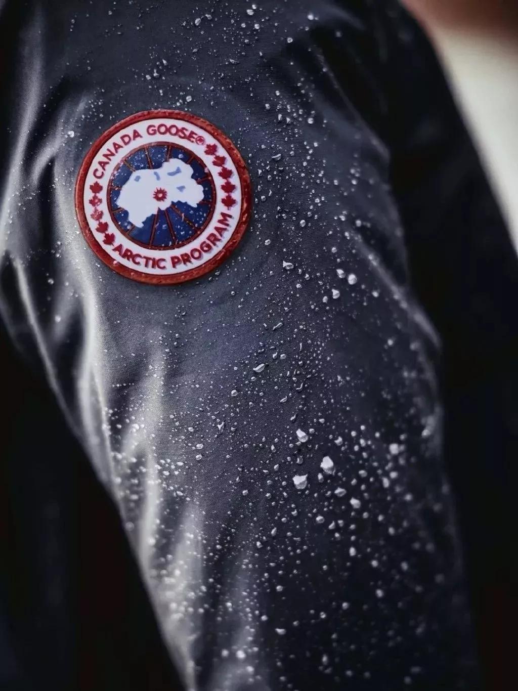 加拿大鹅既要风度又要温度,加拿大鹅冬天怎么保暖的