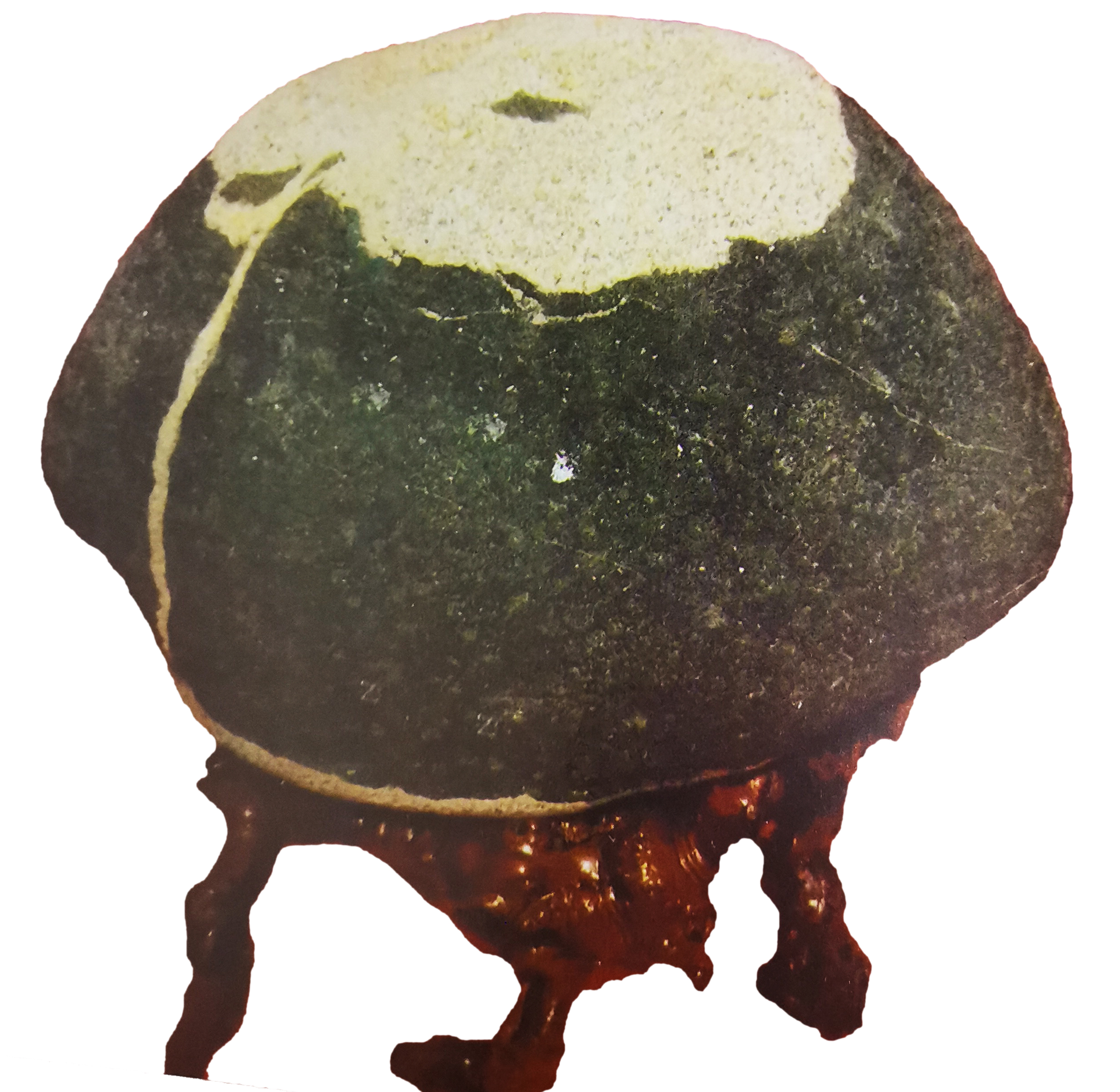 泰山玉石真假,如何识别泰山石图案真假