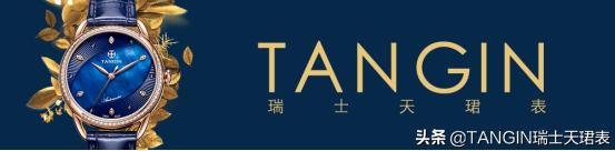 爱情公寓5为什么成网剧了,爱情公寓5要开拍了你期待吗