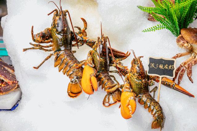 上海海鲜帝王蟹自助高端,上海帝王蟹波龙自助