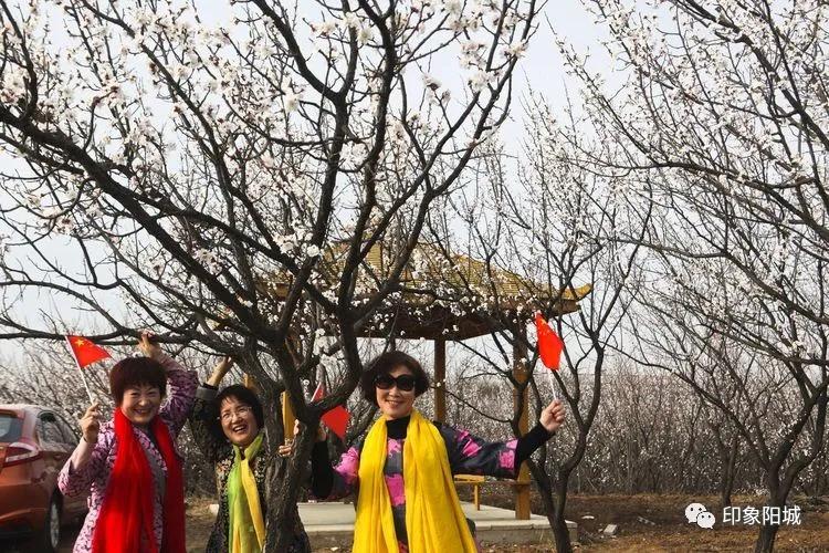 晋城哪里可以春游,晋城附近春游景点