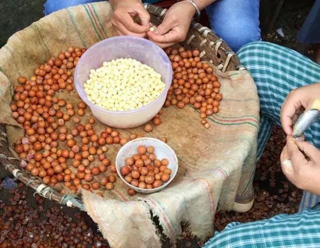 鸡头米熬糖水的做法,苏州葑门正宗鸡头米旗舰店