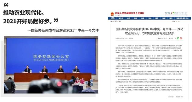 中粮国家战略,中粮集团品牌战略规划