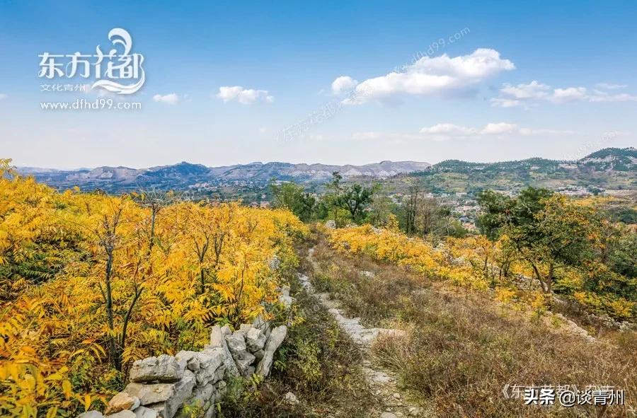 怀古东峪村悟道黄龙山——你所不知的东峪古村