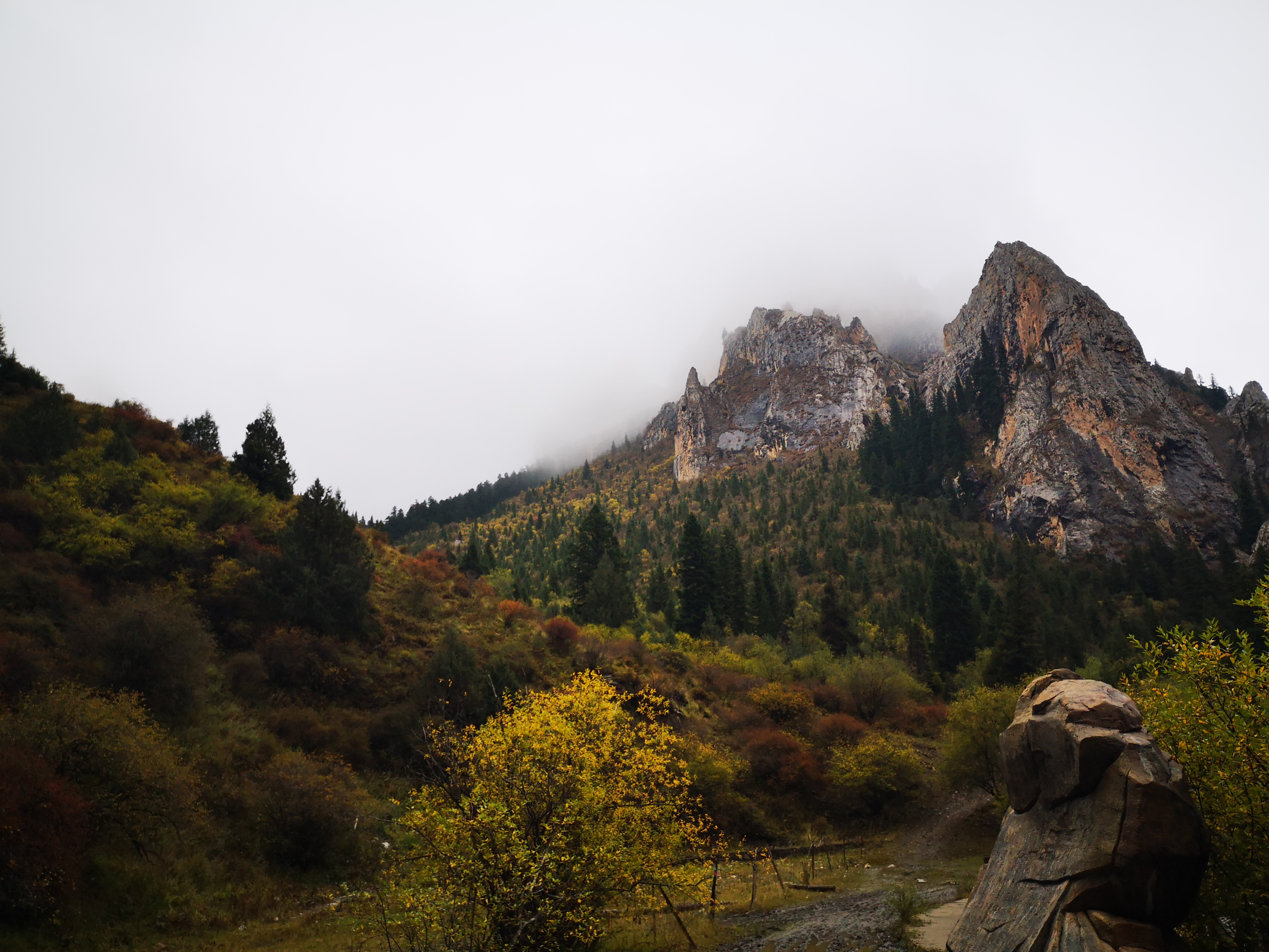 则岔石林游记,尕海湖和则岔石林