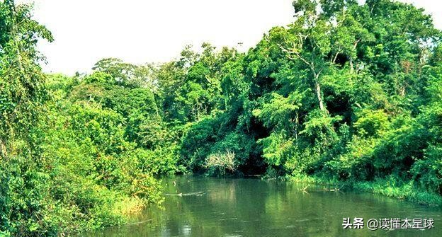 为什么埃博拉病毒总是突然消失,埃博拉病毒已复活了吗