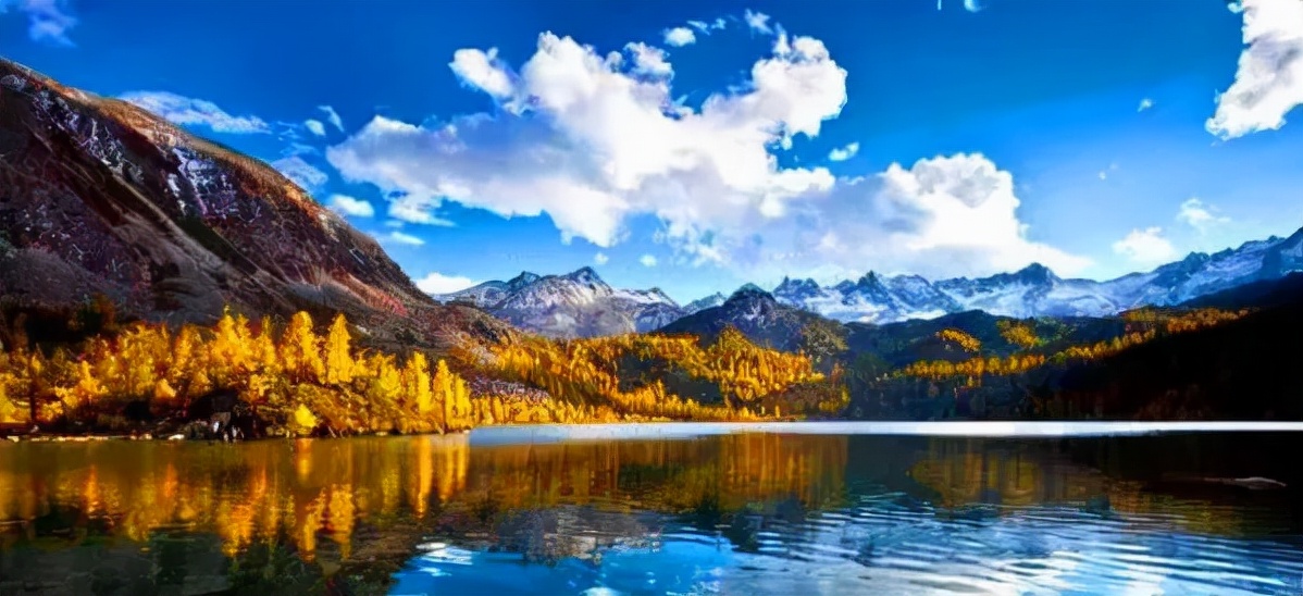 1011月错过它们，等于错过整个秋天！人少清净，随手一拍都是大片