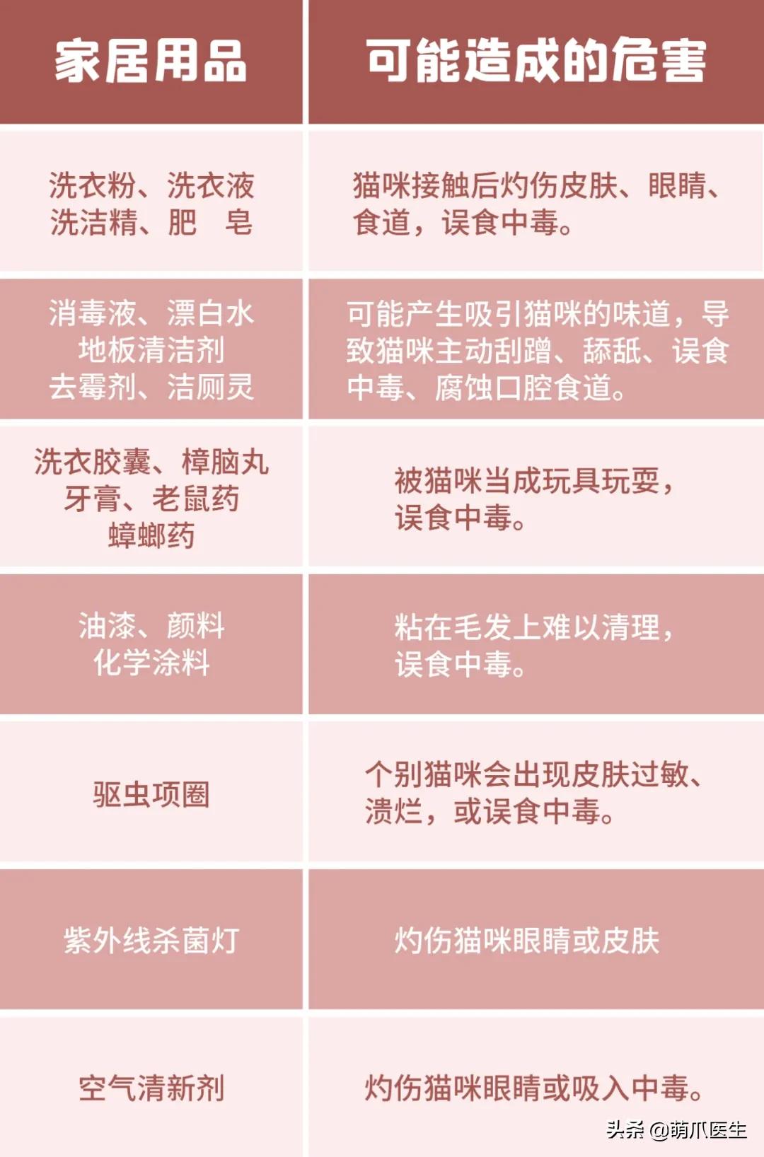 盘点那些手贱的猫咪被烫伤,盘点猫咪被烫过的倒霉瞬间