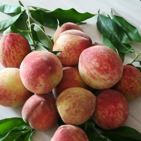 全国农产品地理标志目录湖南篇,湖南省株洲市农产品地理标志名单