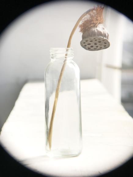 新手入门手机摄影配件推荐,手机摄影都需要哪些配件