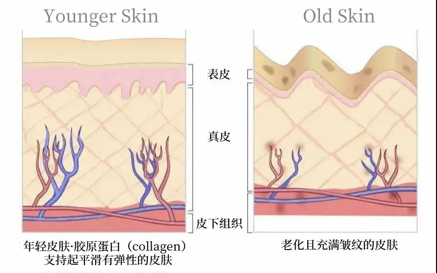 美容仪,可以对抗岁月痕迹?