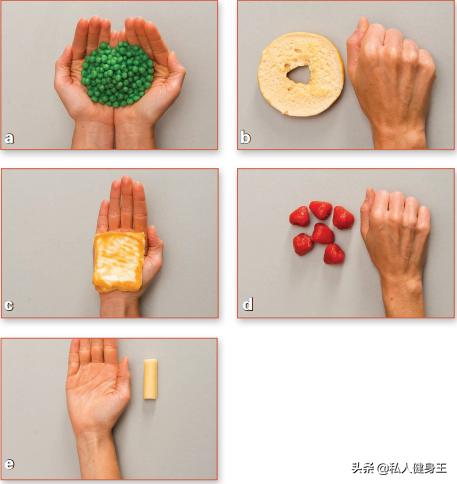 减肥应该怎么吃最好,减肥该怎么吃三餐