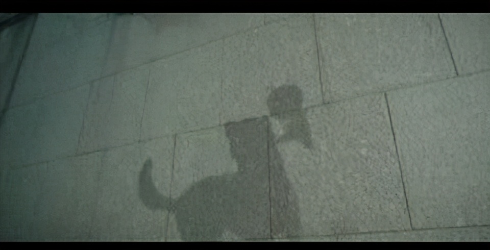 长江七号张雨绮笑周星驰帅片段,长江七号张雨绮与周星驰什么关系