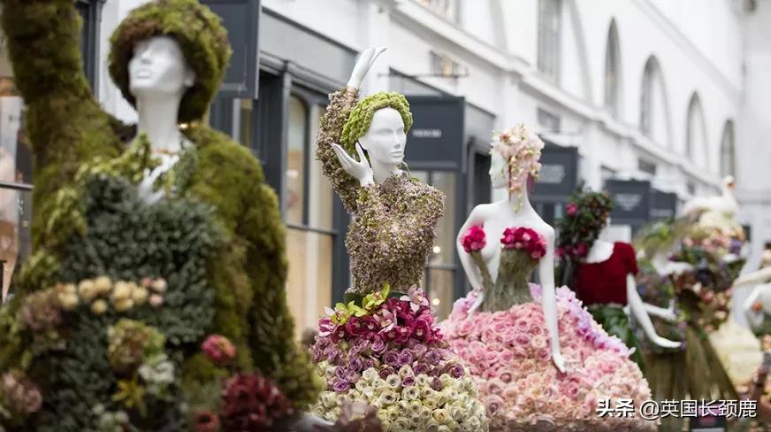 520/521：五月阳光下，伦敦依然盛放。记得常回来看看