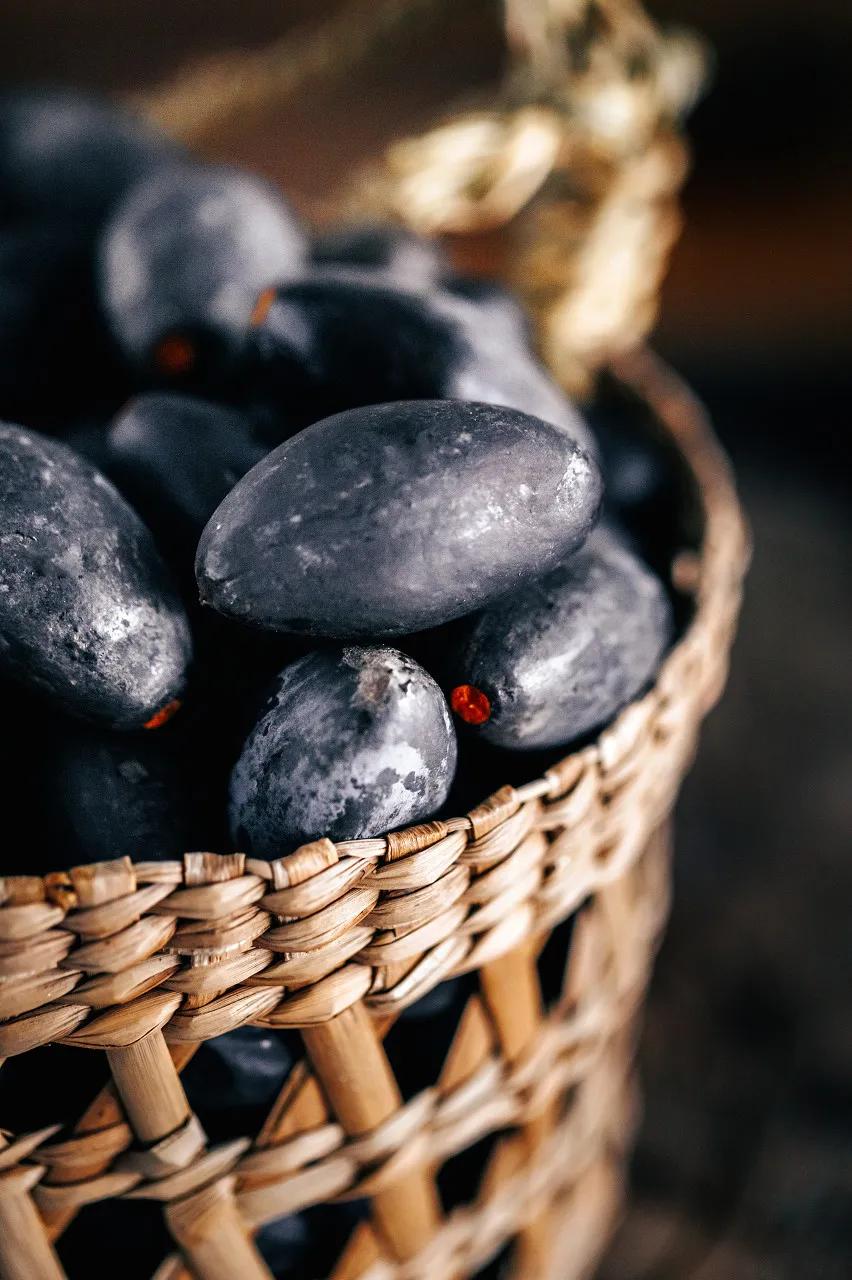 潮汕人从小吃到大的油柑,潮汕特有油柑