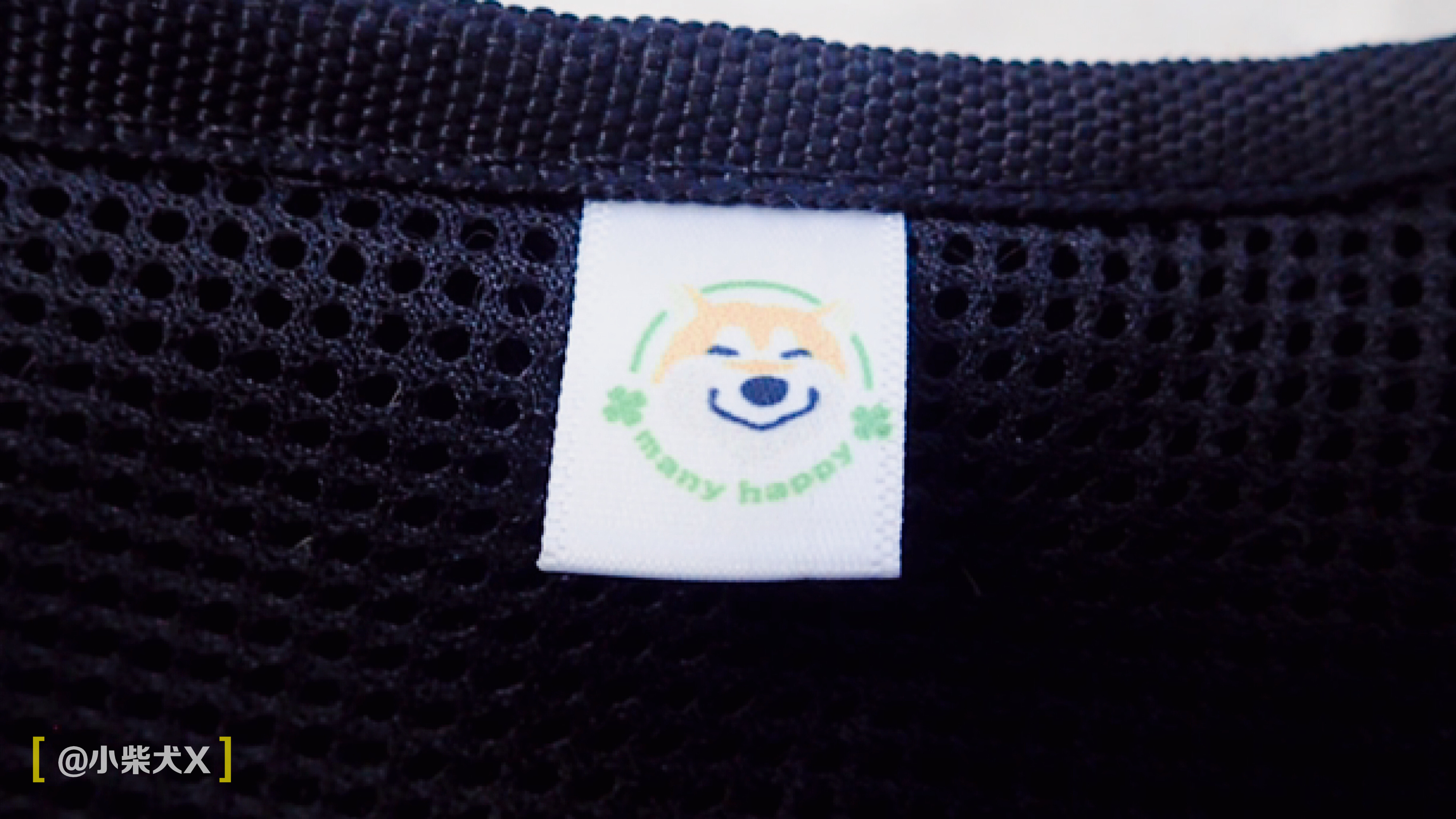 一对日本夫妇设计了最具日本传统特色的狗狗用品,太适合柴犬了