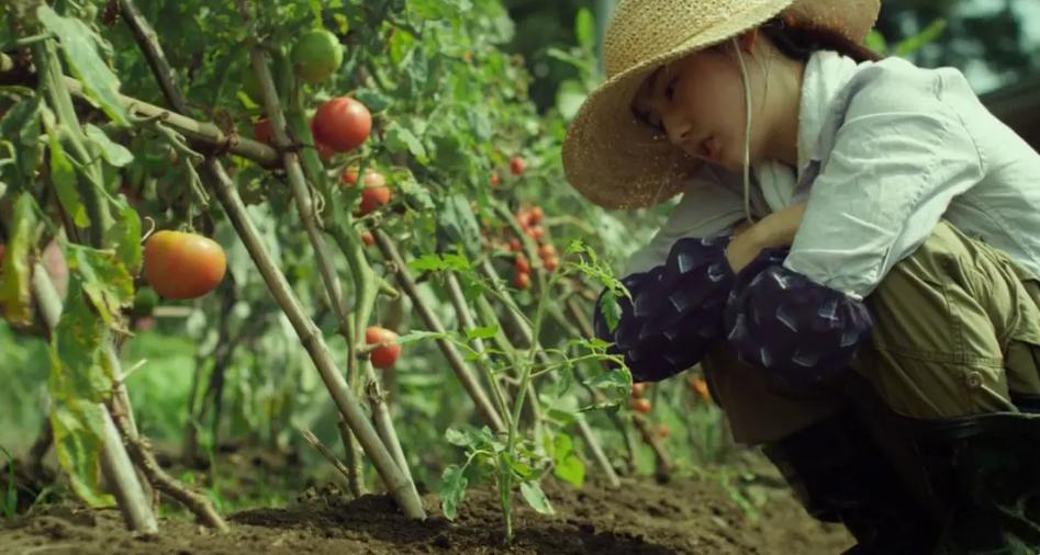 小森林里面的美食,小森林冬季美食限定