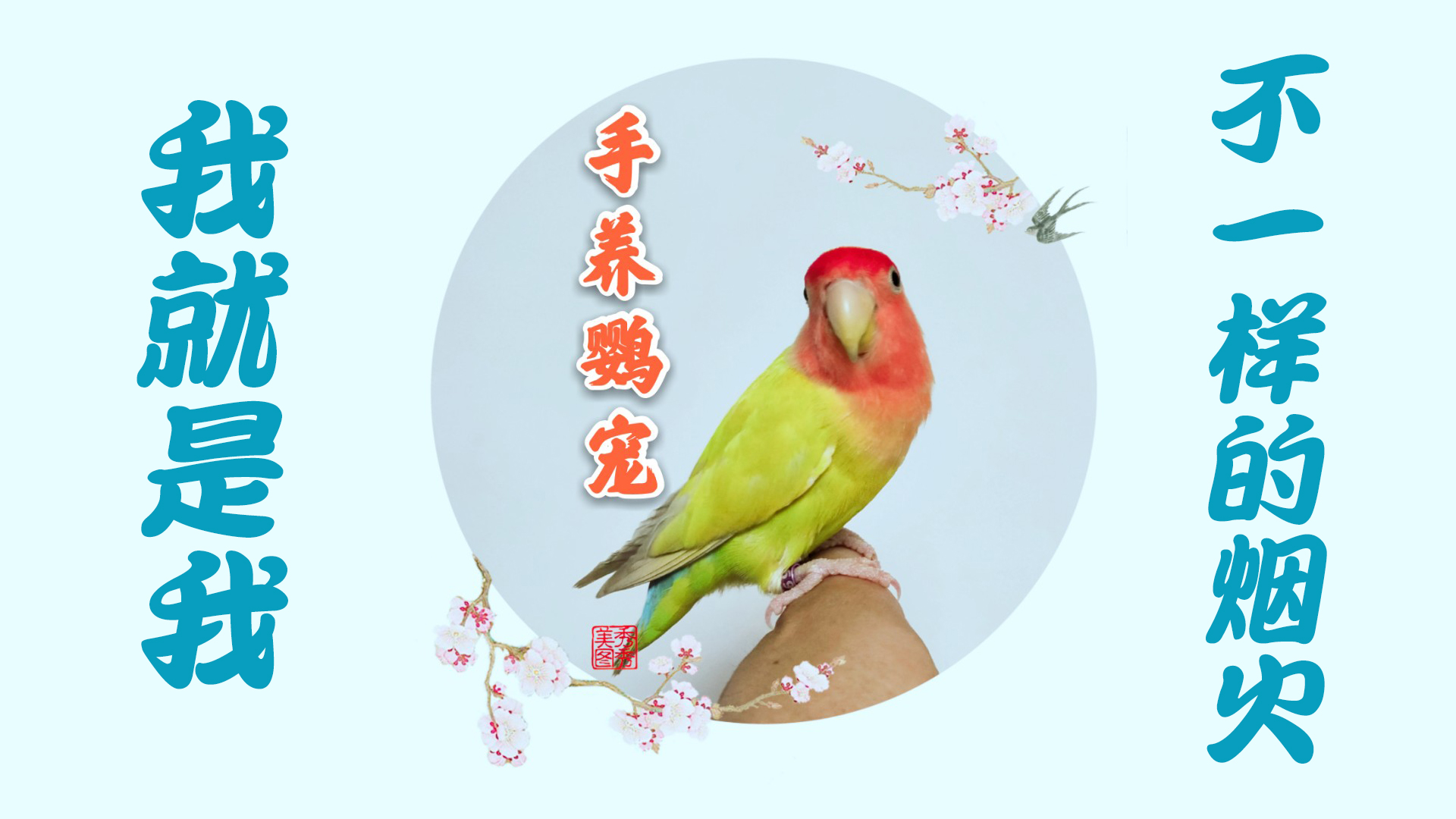 训练鹦鹉亲人,训练鹦鹉需要用哪些工具