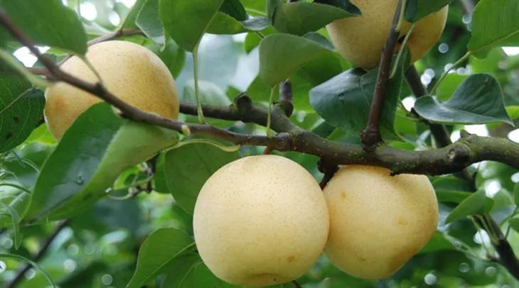 外地人眼中的丰县VS丰县人眼中的丰县