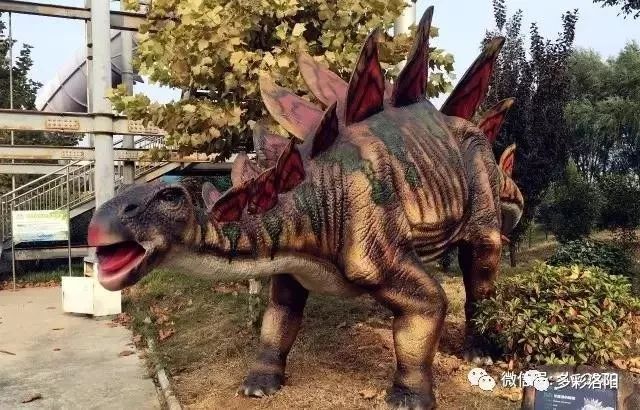 亚龙湾国际玫瑰谷灯光节,三亚亚龙湾跨年夜