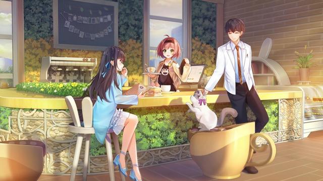 新手养猫哪个品种比较好养一点儿,九大养猫好物分享新手铲屎官必看