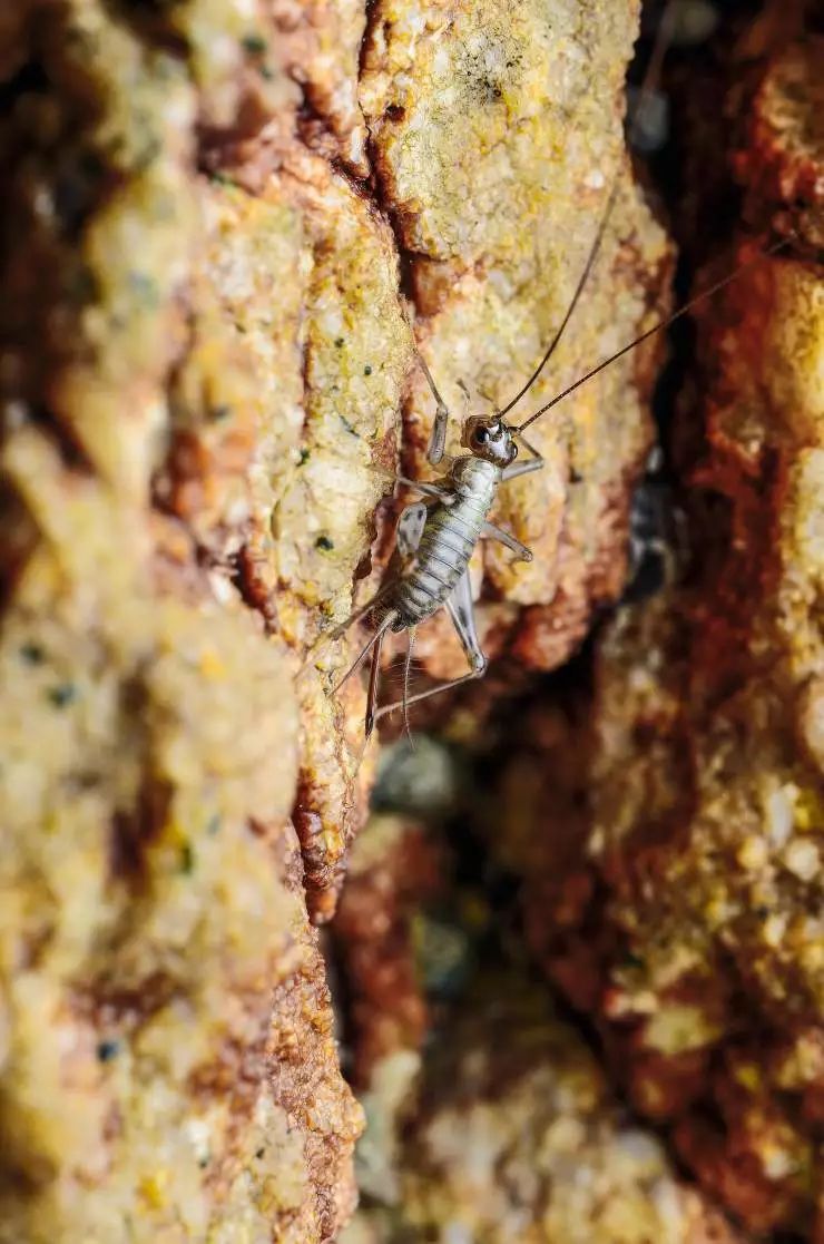 班主任推荐的书目,班主任方面的杂志推荐