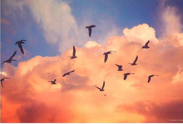 淘宝手淘首页流量引爆怎么转化,手淘推荐跟手淘首页有什么区别