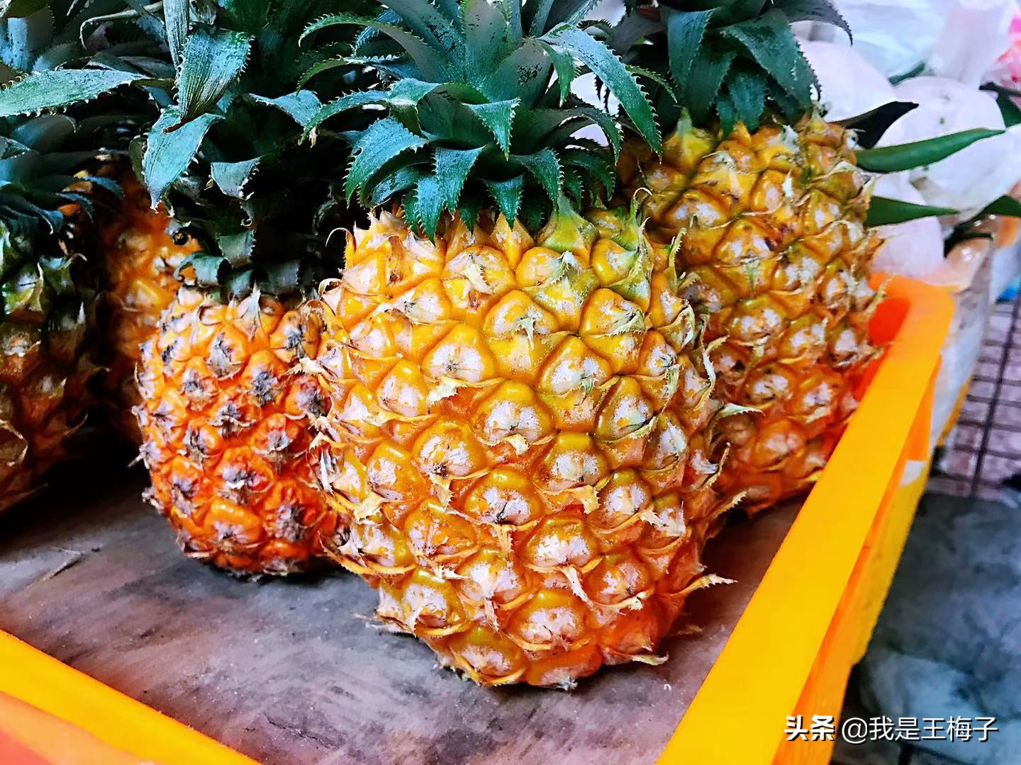 凤梨是不是菠萝的改良品种,凤梨是不是菠萝蜜