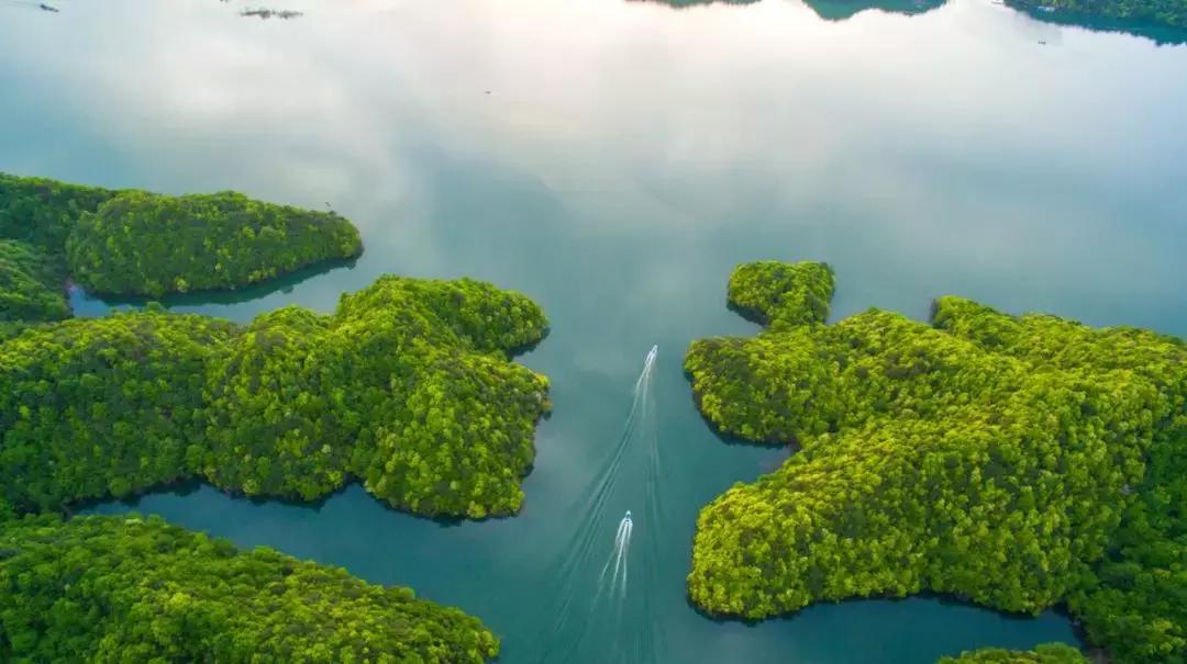 诗意人生不负青春的诗句,诗意深秋不负光阴不负卿