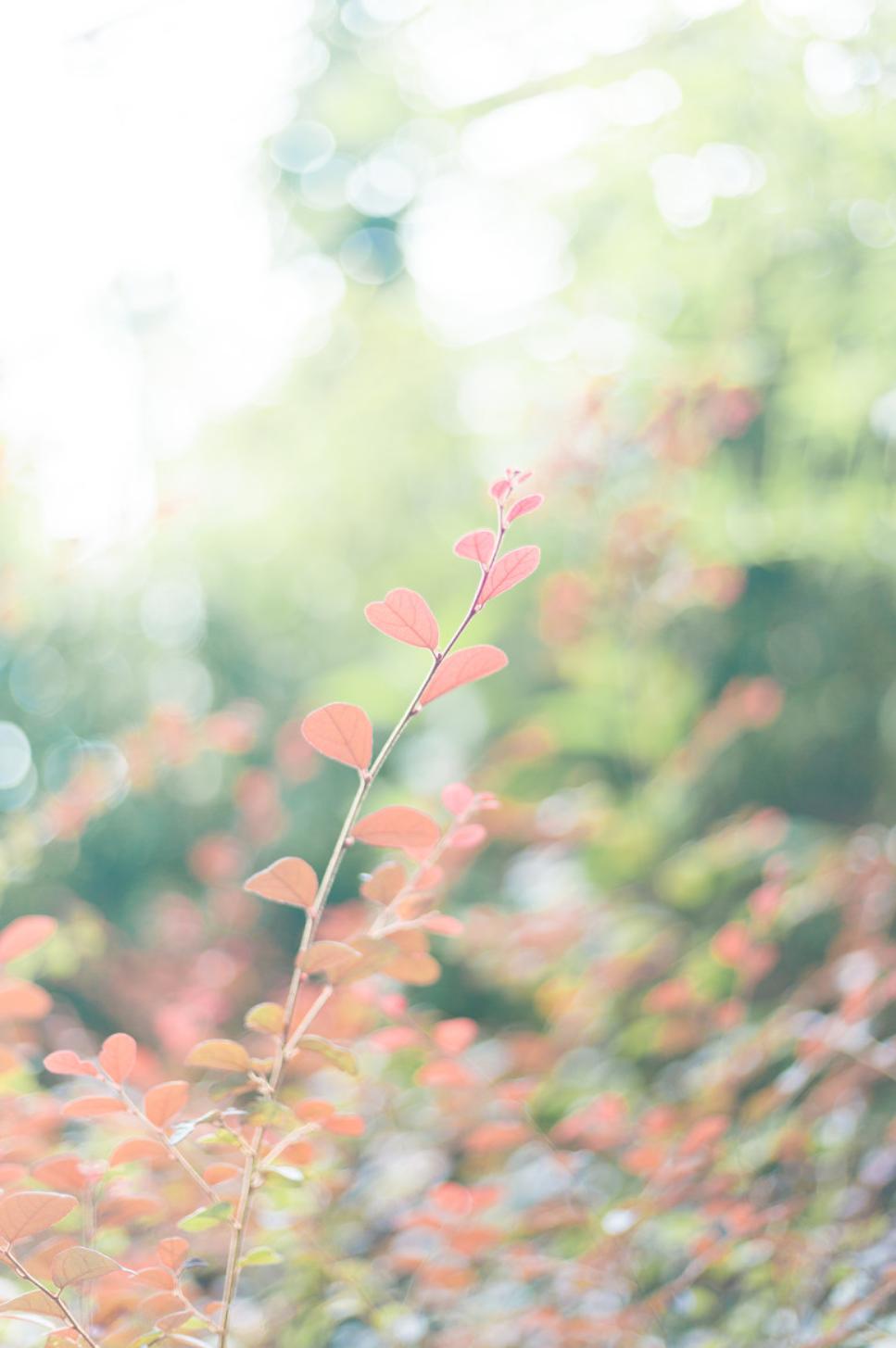 表达夏天热的诗句,古诗中描写天气很热的诗句