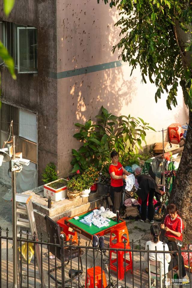 罗湖区莲塘有什么好玩的,罗湖莲塘风景